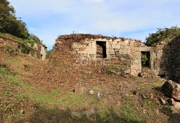 Dom Viana Do Castelo