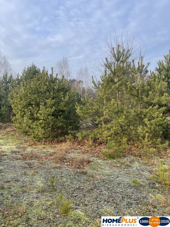 Działka 1050 m² pod zabudowę letniskową. - Widok 4