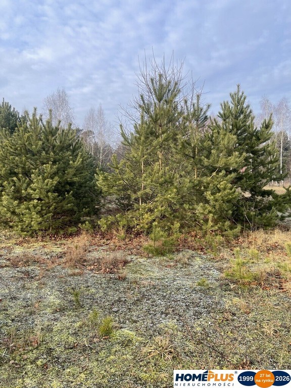 Działka 1050 m² pod zabudowę letniskową. - Widok 5