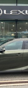 Lexus RX IV 350h Prestige 2.5 Hybrid 350h Prestige 2.5 Hybrid 250KM | Kamera 360-4