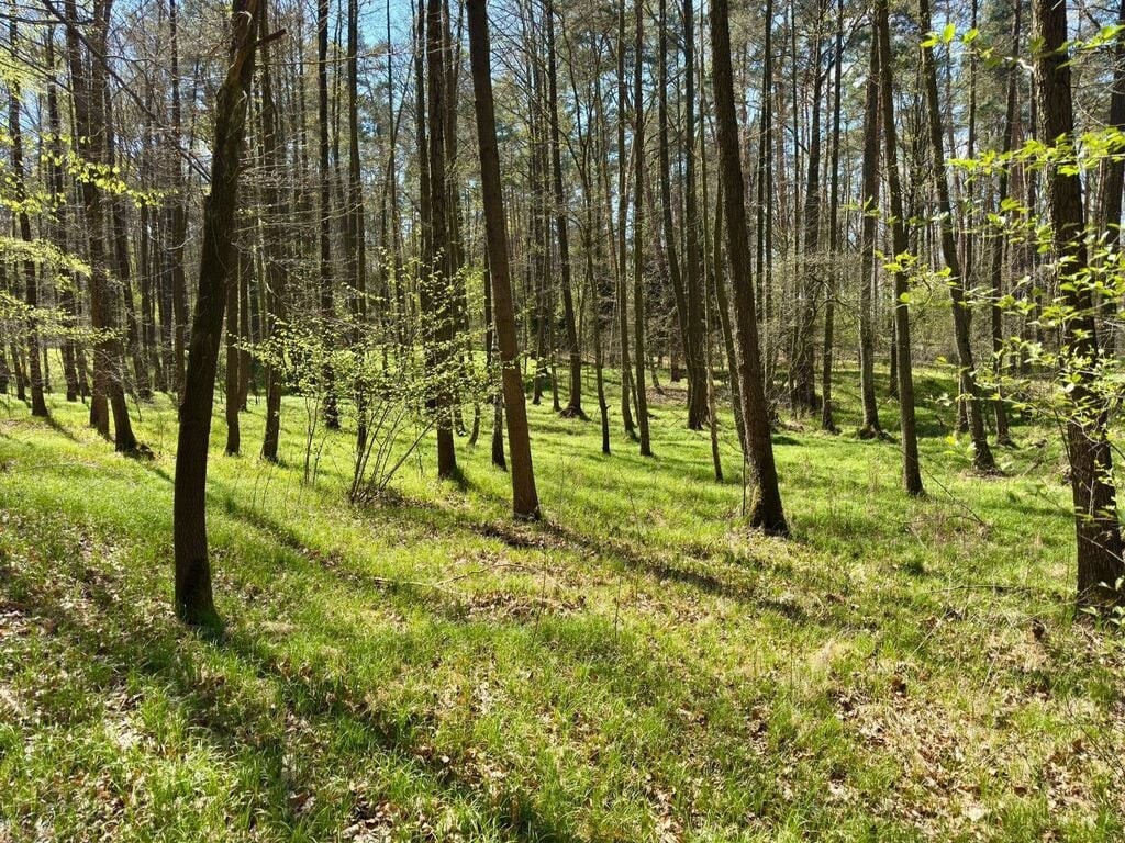 działka lub grunt na sprzedaż