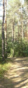 Dzialka Budowlana leśna-3