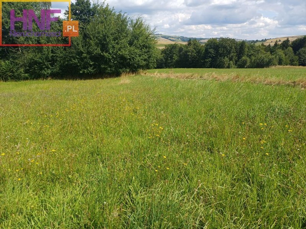 Działka budowlana w Wielogłowach 12,8ar. - Widok 3