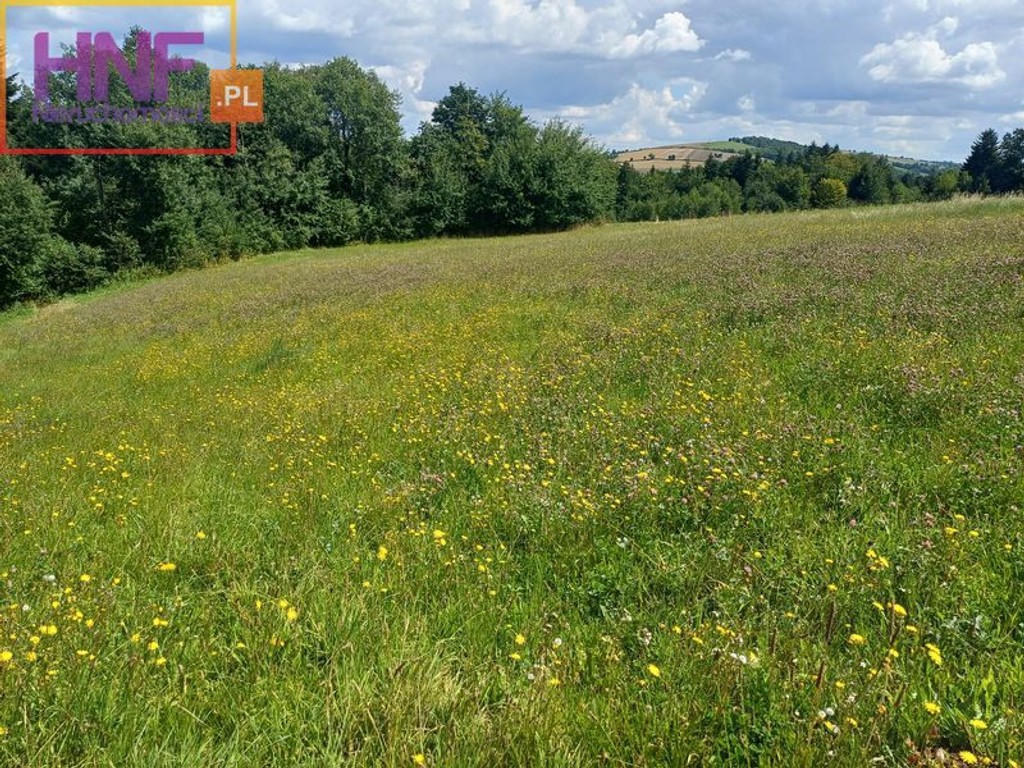 Działka budowlana w Wielogłowach 12,8ar. - Więcej