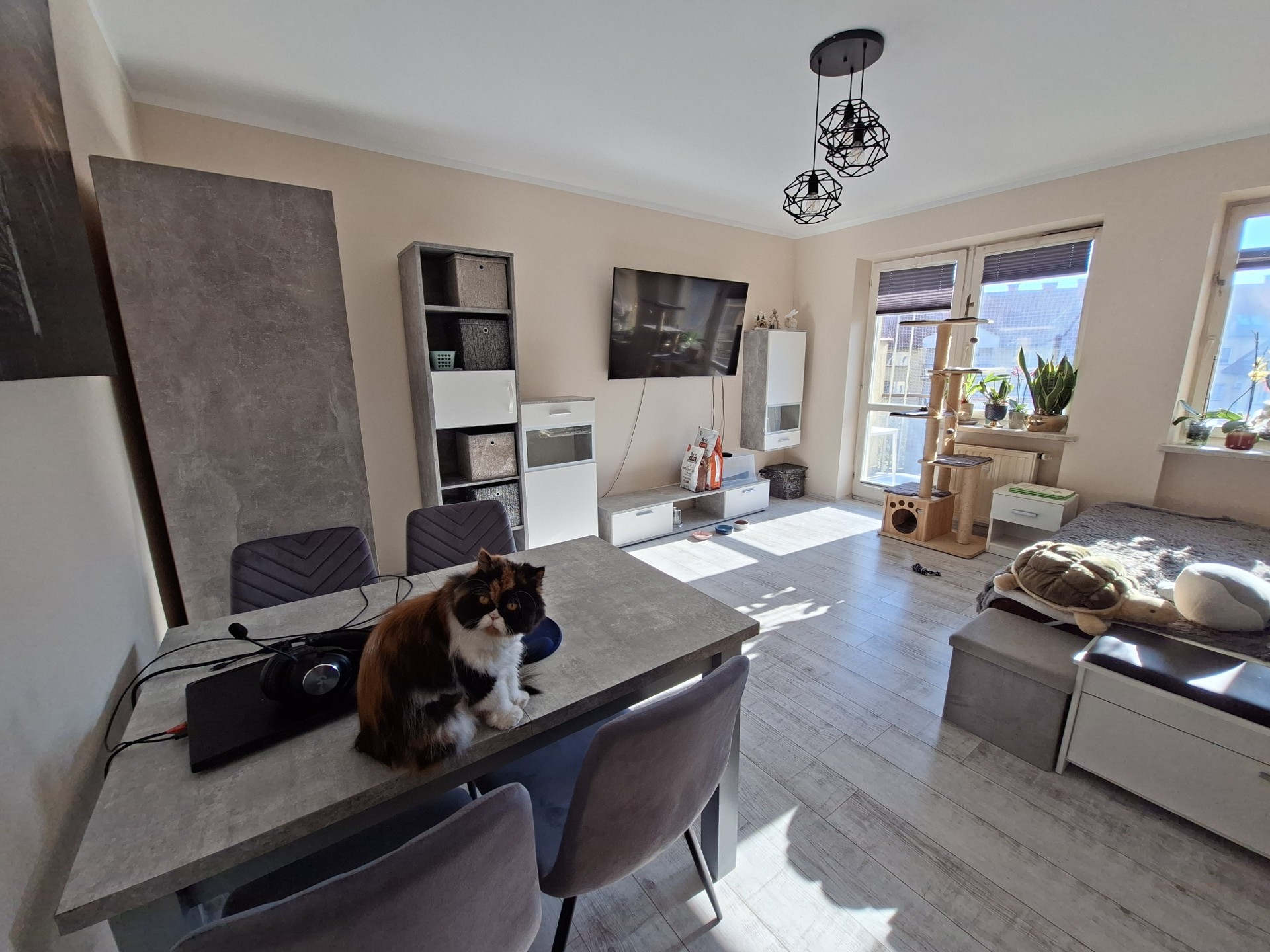 1-room apartment of 32 m²