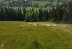 Działka rolna Zakopane, ul. Łosiówki