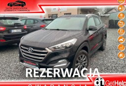 Hyundai Tucson III creative 1.6 GDI 132 KM Klimatronic Alu Navi Kamera Skóra