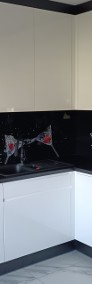 Panel szklany do kuchni i łazienki - grafika na szkle, szkło hartowane -250zł/m2-4