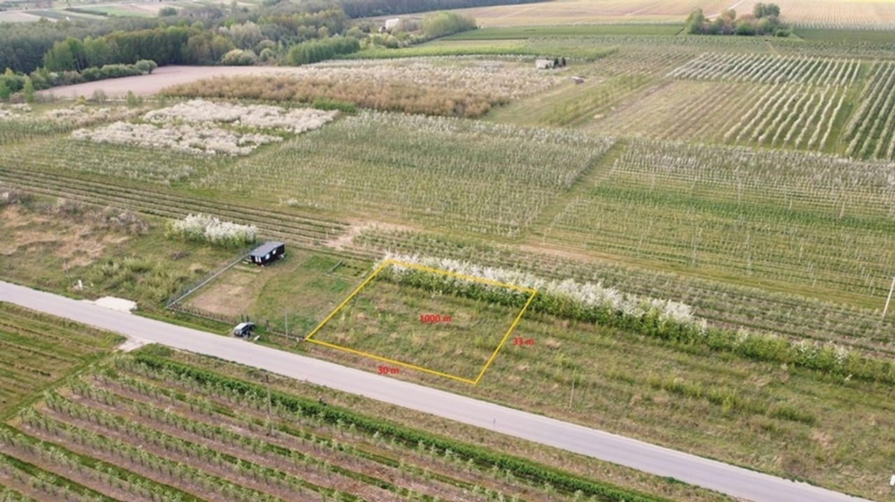 Cisza, natura, sady | działka gm. Biała Rawska – pohled 2