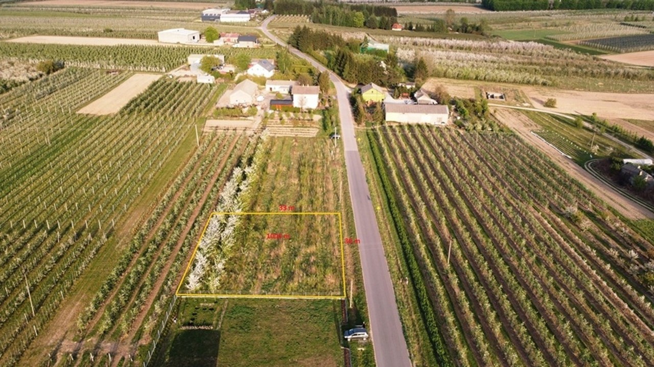 Cisza, natura, sady | działka gm. Biała Rawska – pohled 3