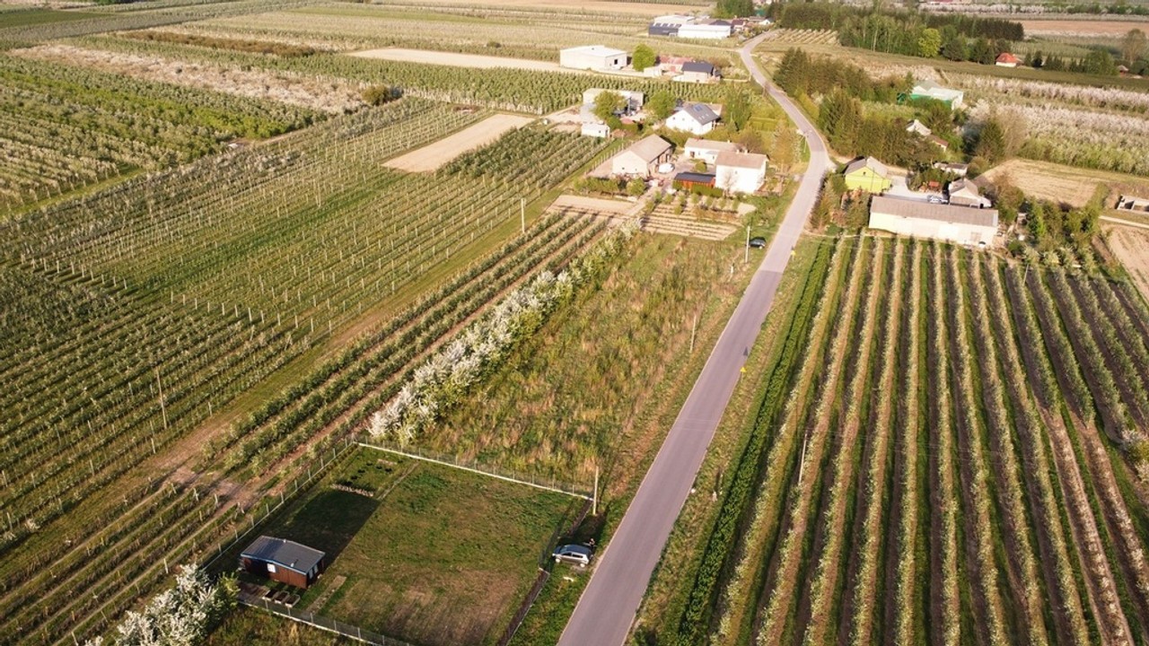Cisza, natura, sady | działka gm. Biała Rawska – další