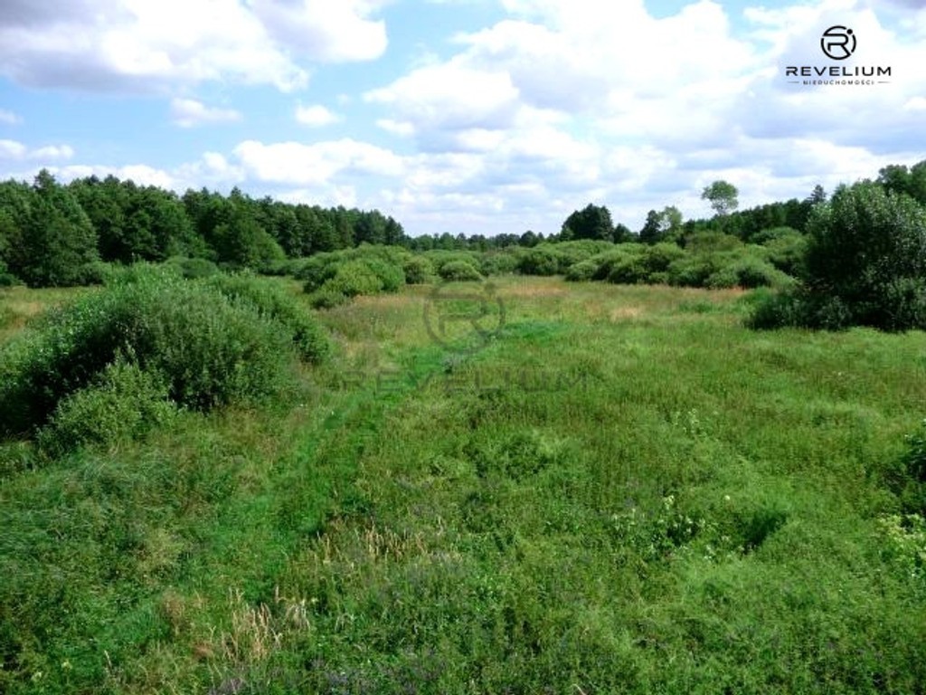 DZIAŁKA NIEOPODAL JEZIORA|INWESTYCYJNA|REKREACYJNA - Widok 4