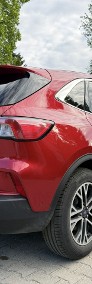 Ford Kuga III Ford Kuga Titanium | Krajowy | Serwis ASO | Bogata wersja | Manual-4