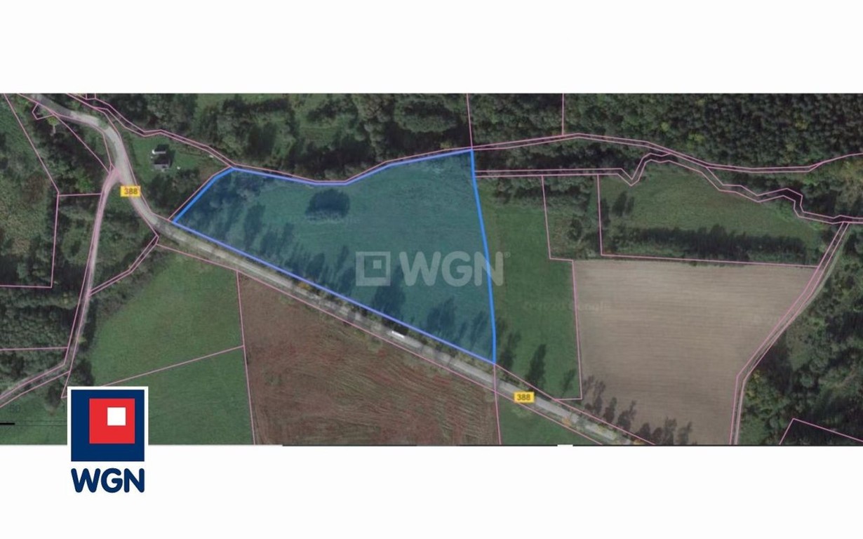 Działka na sprzedaż, 4270 m², Bystrzyca Kłodzka Starkówek - Widok 2