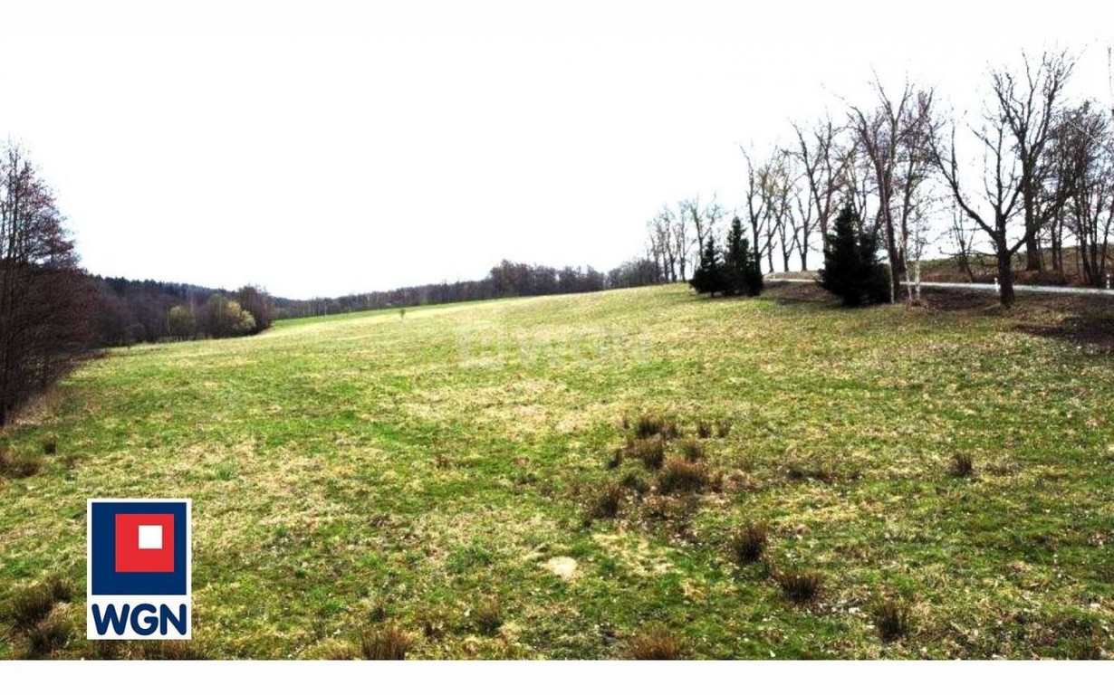 Działka na sprzedaż, 4270 m², Bystrzyca Kłodzka Starkówek - Widok 5