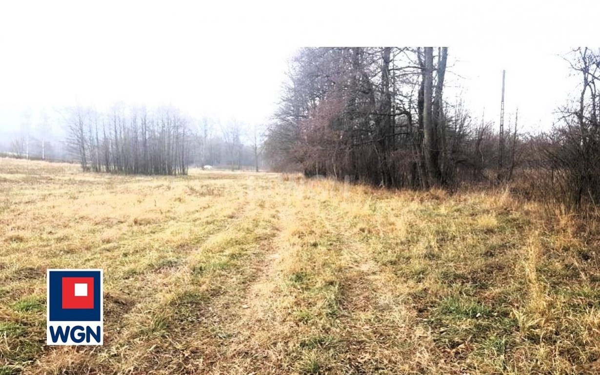 Działka na sprzedaż, 4270 m², Bystrzyca Kłodzka Starkówek - Widok 6
