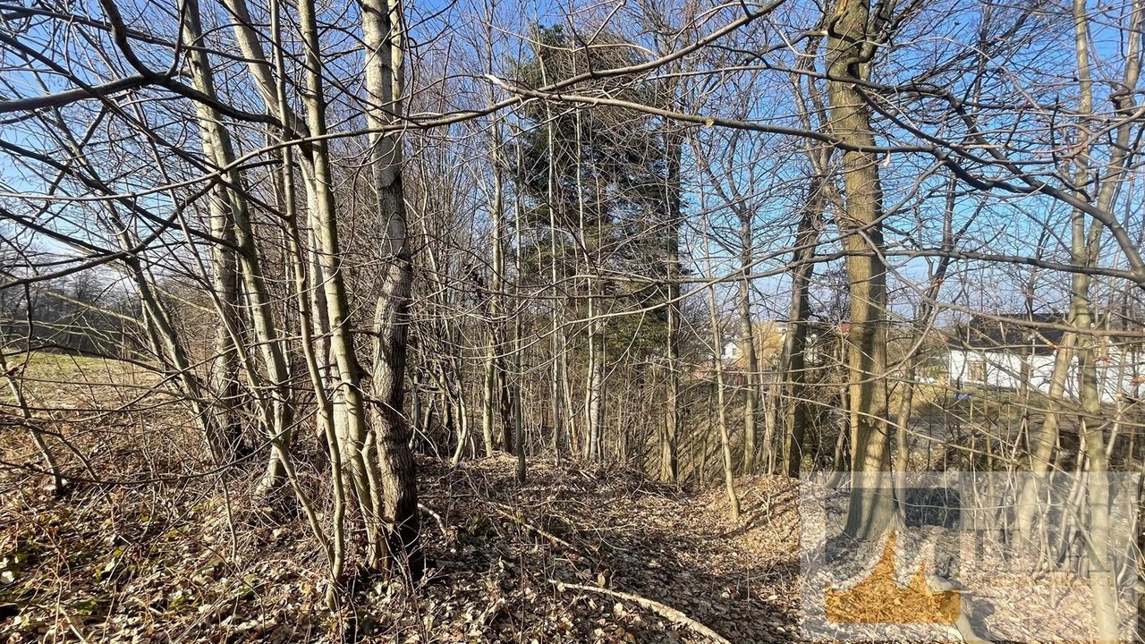 działka budowlano-rolna z częścią lasku, blisko szkoła, na uboczu - Widok 6