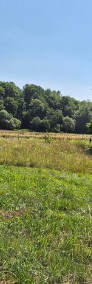 Widokowa działka w Golcowej k. Domaradza z dostępem do strumienia, lasu, łąki-4