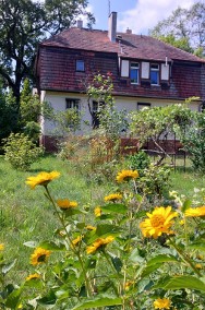 Parter przedwojennego domu w Leśnicy z ogrodem-2
