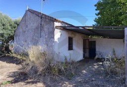 Dom Brogueira, Parceiros De Igreja E Alcorochel