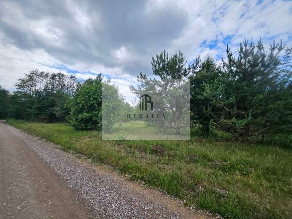 Budy Grzybek, 900 m², MPZP - Widok 2