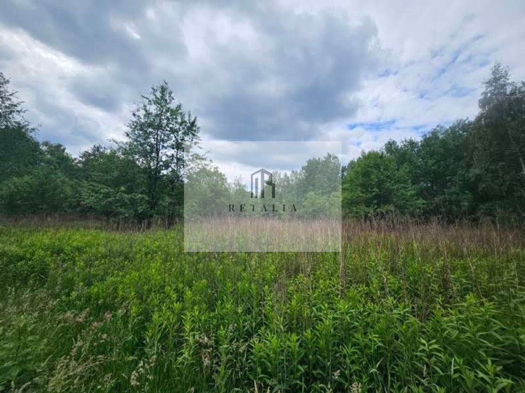 Budy Grzybek, 900 m², MPZP - Widok 3