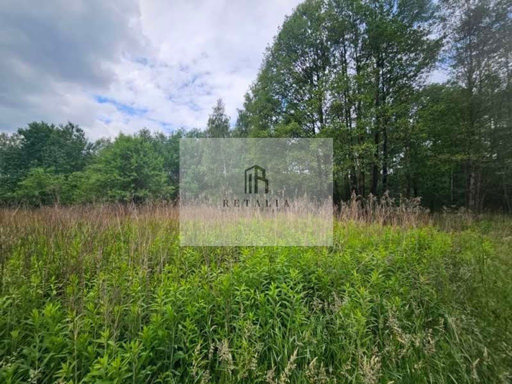 Budy Grzybek, 900 m², MPZP - Widok 4