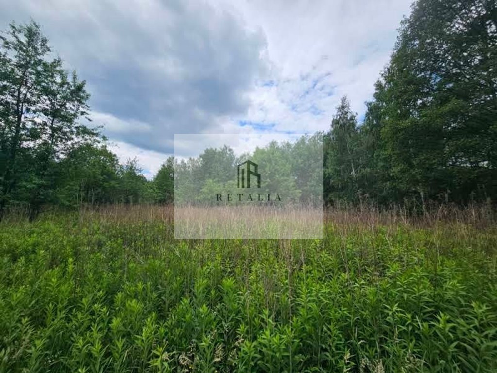 Budy Grzybek, 900 m², MPZP - Widok 5