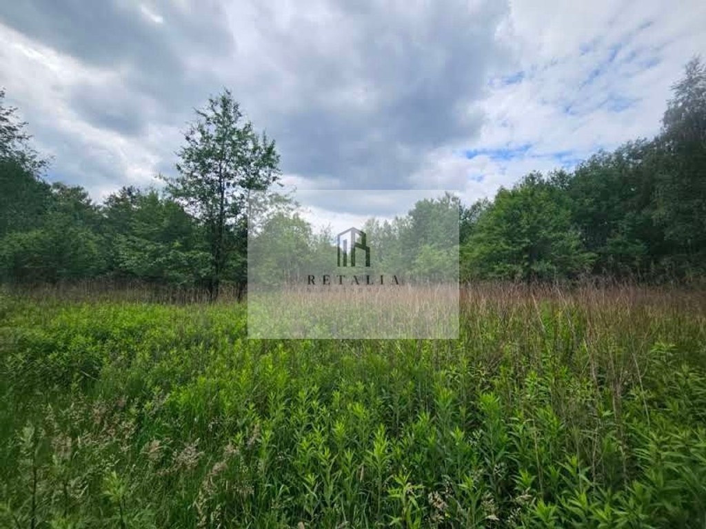 Budy Grzybek, 900 m², MPZP - Widok 6