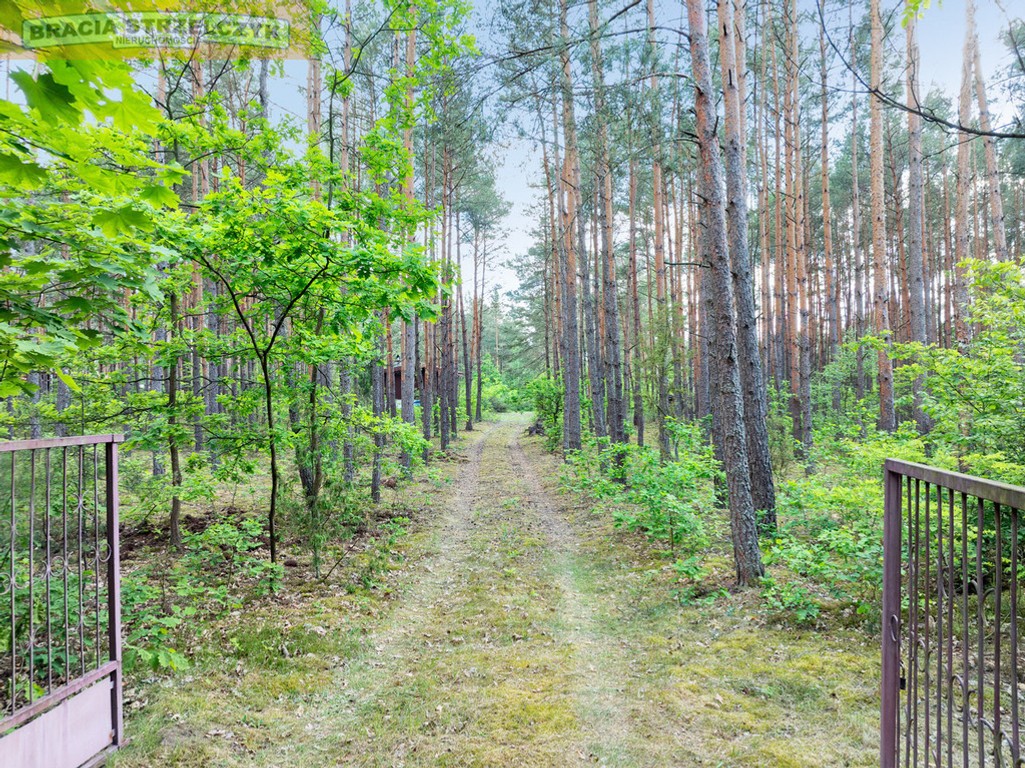 Nowa Wieś k/Serocka działka budowlana – další
