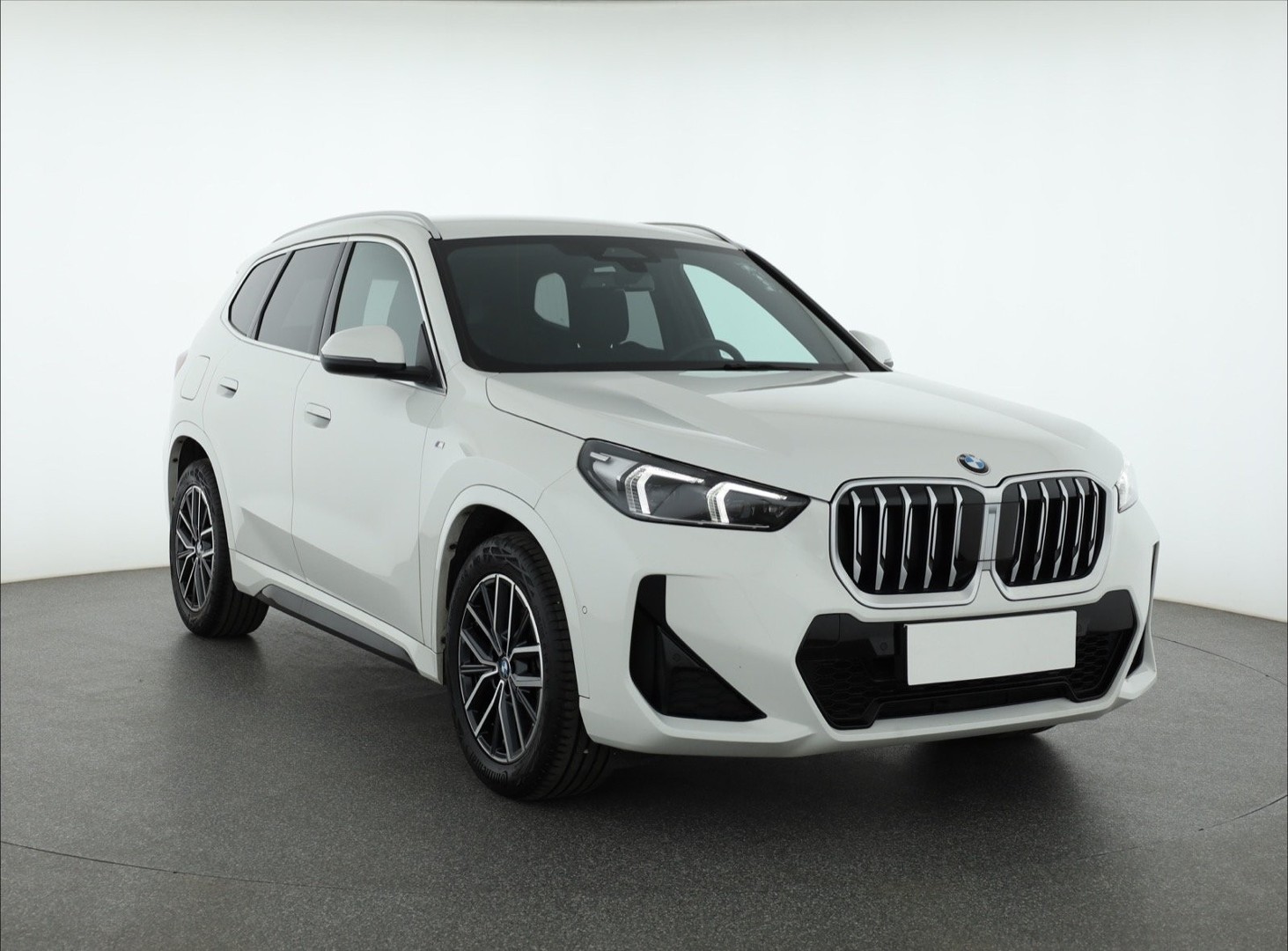 BMW X1 F48 , Salon Polska, 1. Właściciel, Serwis ASO, Automat, VAT 23%,