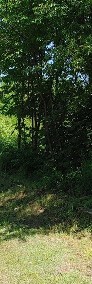 Duża działka pod rezydencję lub inwestycję deweloperską przy Lesie Łagiewnickim-3