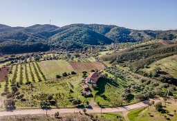 Dom São Bartolomeu De Messines