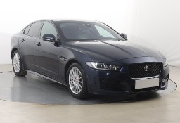 Jaguar XE I , Skóra, Navi, Xenon, Bi-Xenon, Klimatronic, Parktronic,