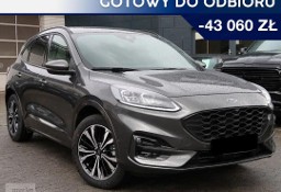 Ford Kuga IV 1.5 EcoBoost FWD ST-Line X 1.5 EcoBoost ST-Line X 150KM | Pakiet Ass