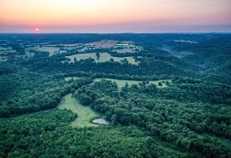 Działka inna Seligman