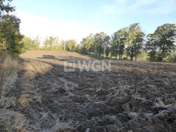 Działka inwestycyjna Dzierzgoń Tywęzy, ul. Tywęzy