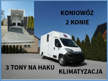 Citroen Jumper koniowóz-1