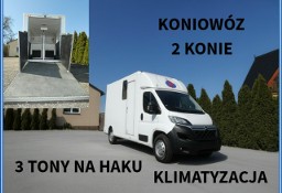 Citroen Jumper koniowóz