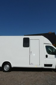 Citroen Jumper koniowóz-2