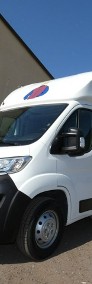 Citroen Jumper koniowóz-4