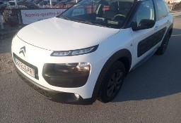 Citroen C4 Cactus I Ledy Navi, Kamera