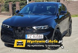 Alfa Romeo Inny Alfa Romeo Telefon: 790_450_394 Lokalizacja: Buk