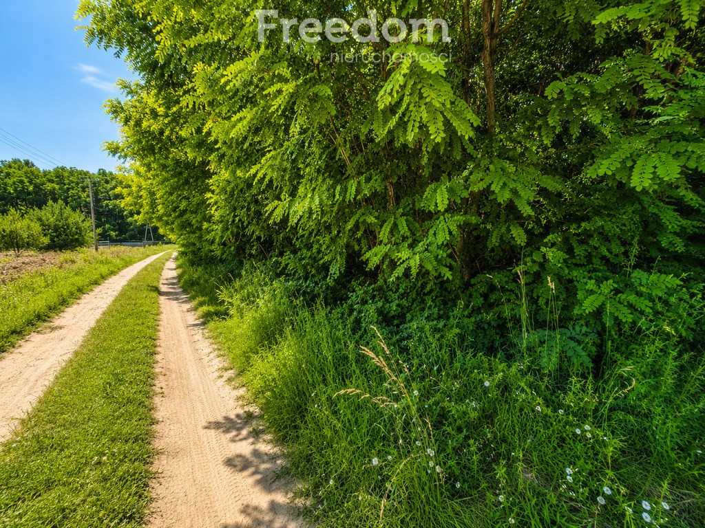 Działki budowlane Guzew | MPZP | od 3000 m² do 1 h - Widok 5
