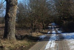 Działka rolna Łęgi, ul. na Świdwie