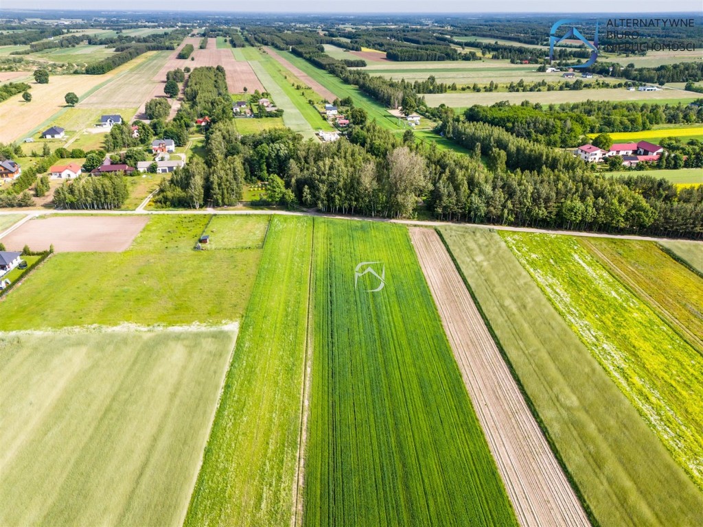 Ustawne działki budowlane - Kolonia Krasienin - Widok 2