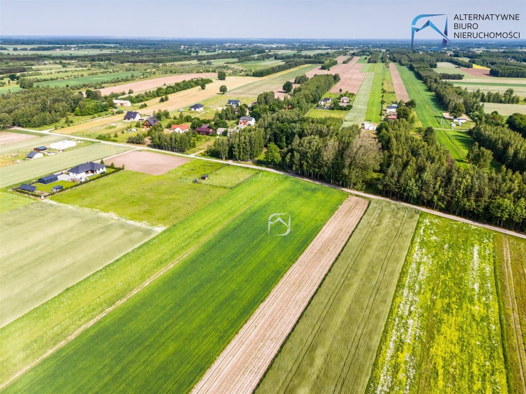 Ustawne działki budowlane - Kolonia Krasienin - Widok 4