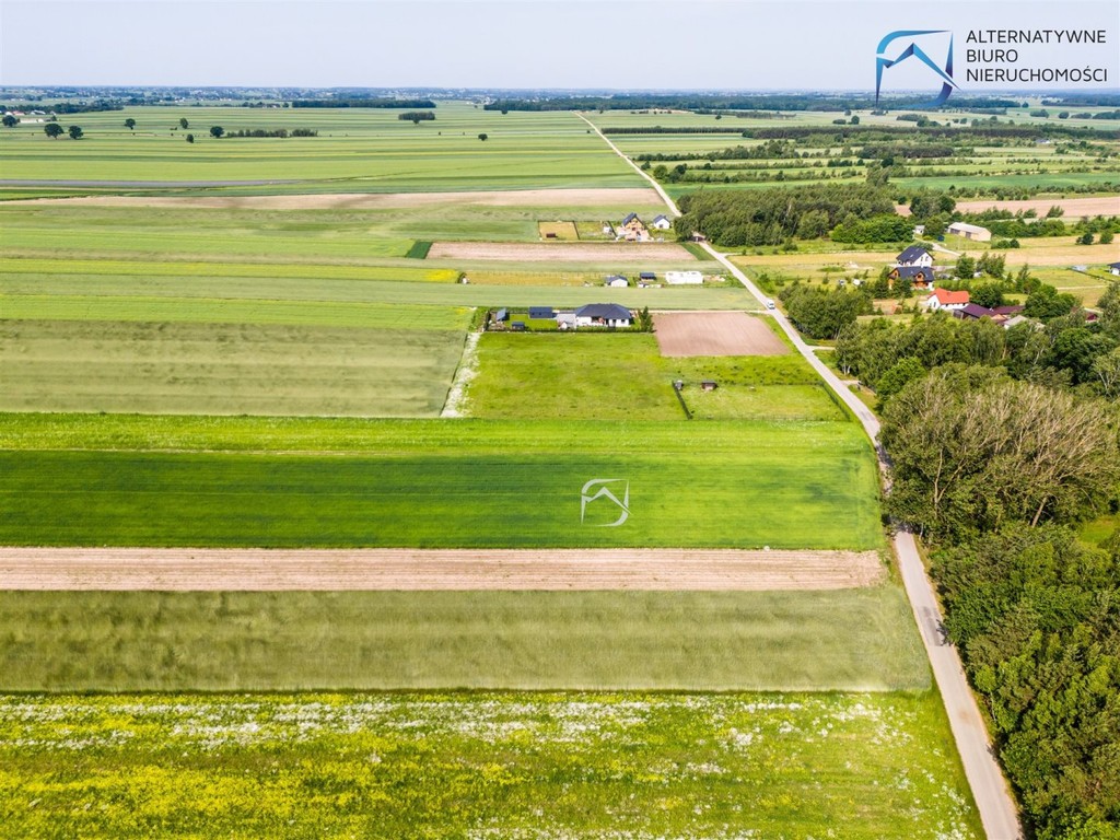 Ustawne działki budowlane - Kolonia Krasienin - Widok 6