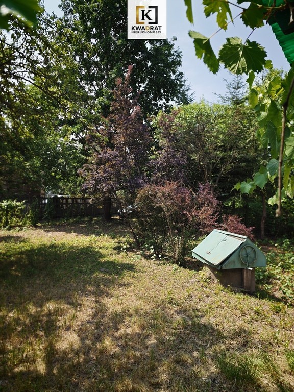 NIERUCHOMOŚĆ SIEDLISKOWA Z DZIAŁKAMI LEŚNYMI - Widok 2