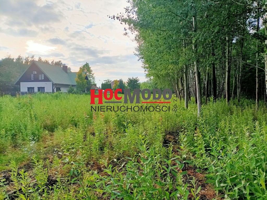 Działka budowlana z kanalizacją w drodze-Stasi Las - Widok 5